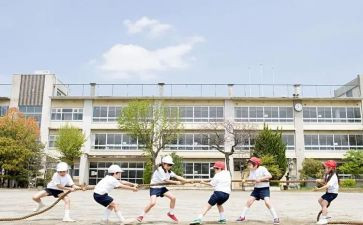 实习鉴定表的学生自我鉴定7篇