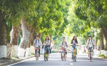 学生会心得总结精选5篇