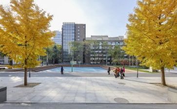 学校教研课活动总结6篇