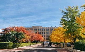 学校副校长述职报告范文6篇