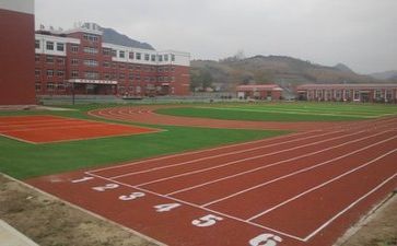 学校安全生产月2024年活动方案6篇