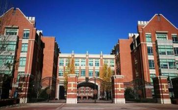学校安全处工作总结模板5篇