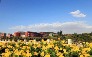 学校食堂个人个人年终总结7篇