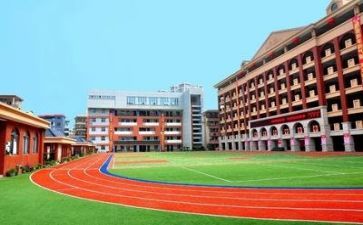 学校环保主题活动方案5篇