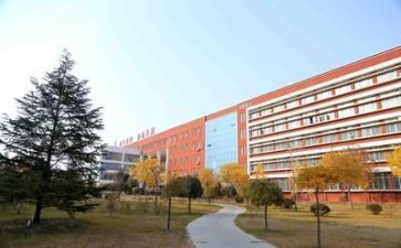 学校自查总结报告6篇