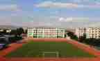 我在学校的作文20字6篇