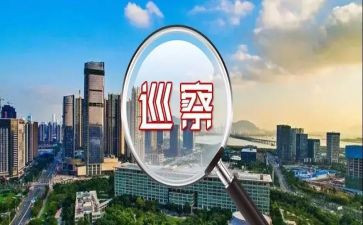 2024个人巡察工作总结模板5篇