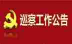 党巡察工作报告6篇