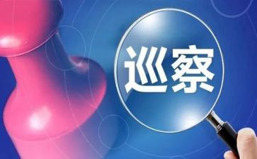 巡视工作总结5篇