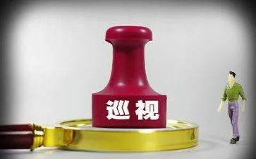 i省巡视工作总结6篇