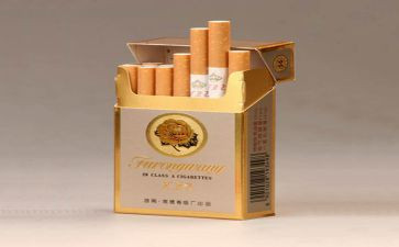 区控烟工作计划优秀5篇