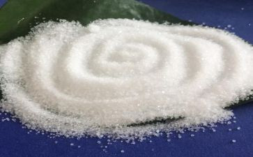 有趣的盐教案反思6篇