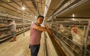 养殖棚买卖合同6篇