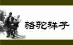 我的样子的作文精选7篇