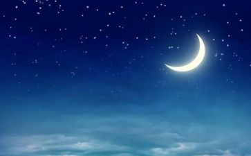 今晚的夜作文5篇