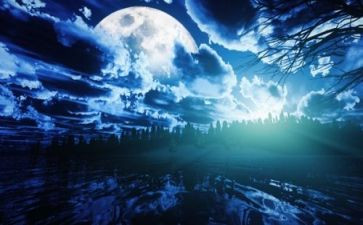 熬夜现象的调查报告6篇