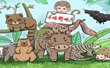 拒绝野味从我做起演讲稿5篇