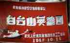 2024年消防英雄事迹8篇