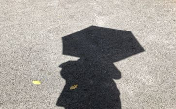 幼儿园中班踩影子教案5篇