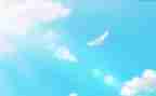 永恒的水作文300字8篇