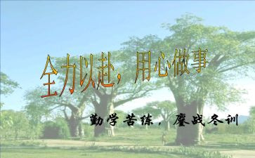 多媒体运用心得5篇