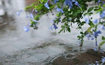 雨声作文6篇