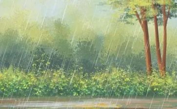 雨中的作文600字推荐8篇