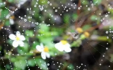 幼儿园小班语言雨教案精选6篇