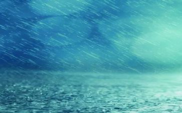雨中的书读后感5篇