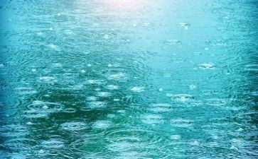 我变成雨的作文500字模板6篇