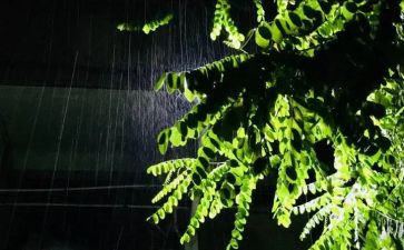 关于雨的研究报告作文6篇
