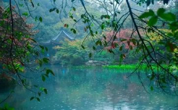 谷雨演讲稿8篇