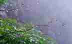 暴雨作文600字7篇