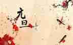 元旦敬老活动方案策划7篇