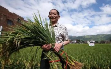袁隆平事迹及心得体会6篇