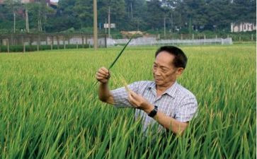关于袁隆平事迹的心得体会5篇