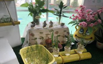 心得体会幼儿园培训心得模板8篇