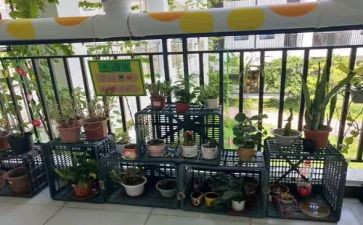 幼儿园培训心得反思5篇