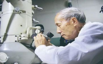 缅怀袁隆平院士作文800字6篇