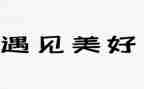 有关遇见的作文6篇
