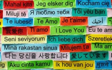 语言文化的作文6篇