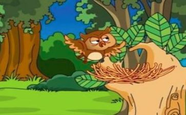 ?C索寓言的读后感最新8篇