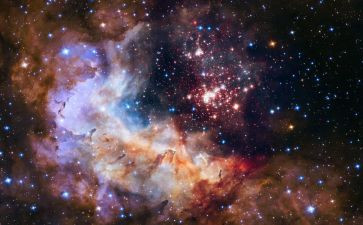 宇宙蛋读后感5篇
