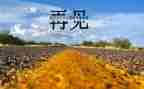 再见2023你好2023心得体会5篇
