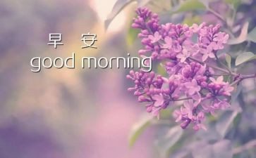 司机早工作总结模板5篇