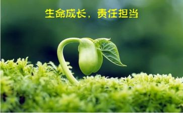 工作责任心得体会最新7篇
