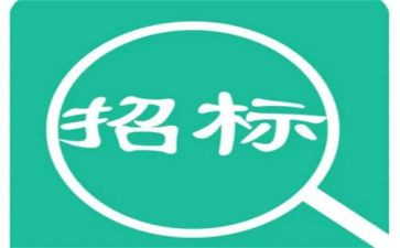 招标公司员工年终总结6篇