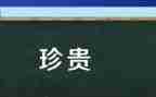 _最珍贵作文600字模板8篇