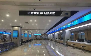 政务服务半年工作总结8篇