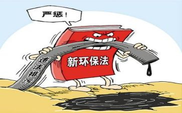 干部专项整治的心得体会7篇